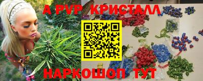 a pvp Гагарин