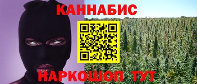 стаф Дубна