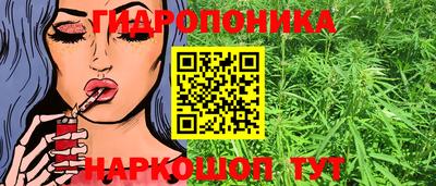 винт Гатчина