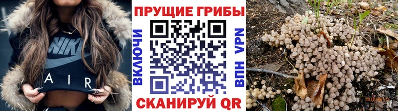Галлюциногенные грибы ЛСД  дарк нет наркотические препараты  Ангарск  цена  