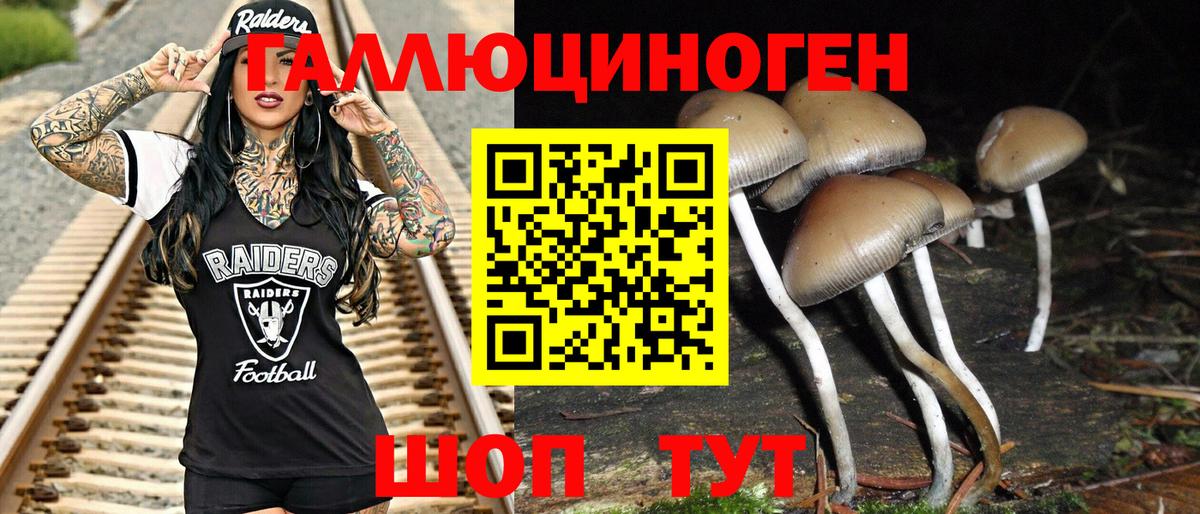 Галлюциногенные грибы Psilocybe  Псилоцибиновые грибы мухоморы  цена   Ангарск  Вход с VPN 