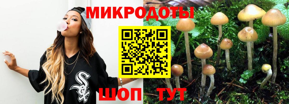 Галлюциногенные грибы GOLDEN TEACHER  Псилоцибиновые грибы мицелий  наркота  Ангарск  Вход с VPN 
