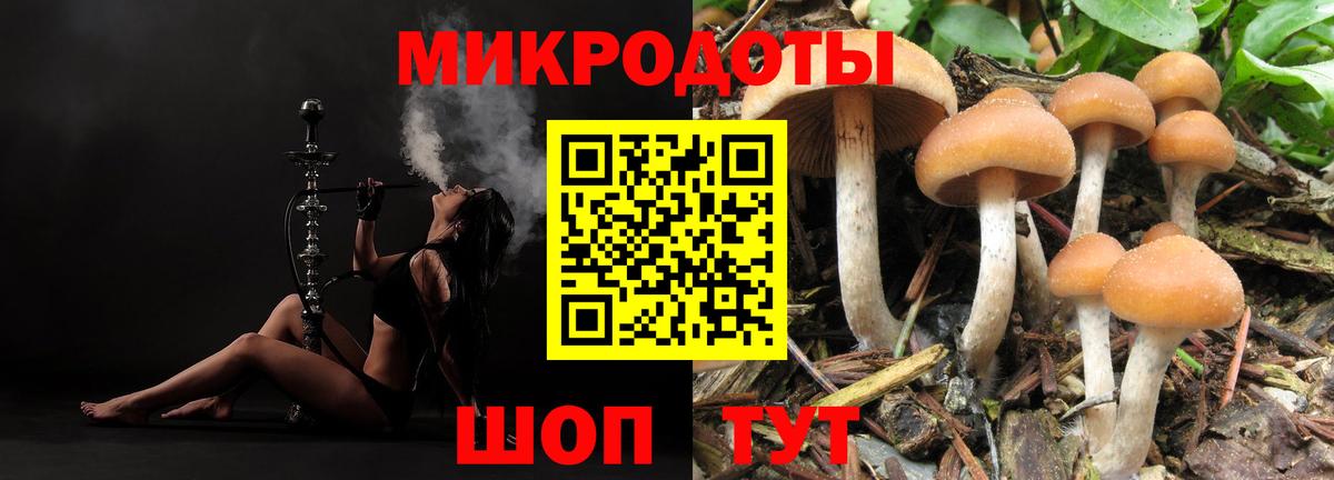 Галлюциногенные грибы Psilocybine cubensis Ангарск