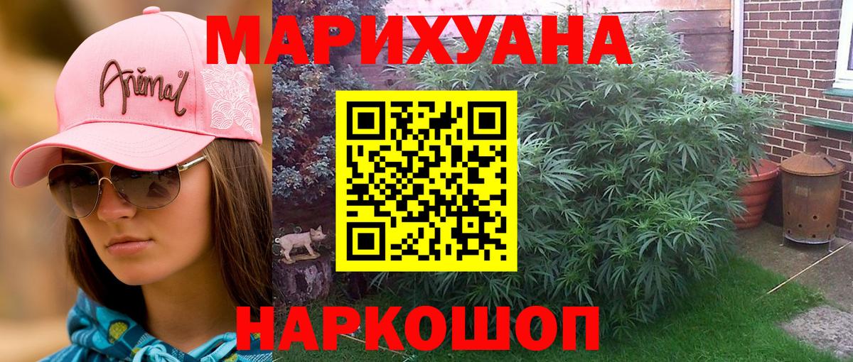 Бошки марихуана конопля Ангарск